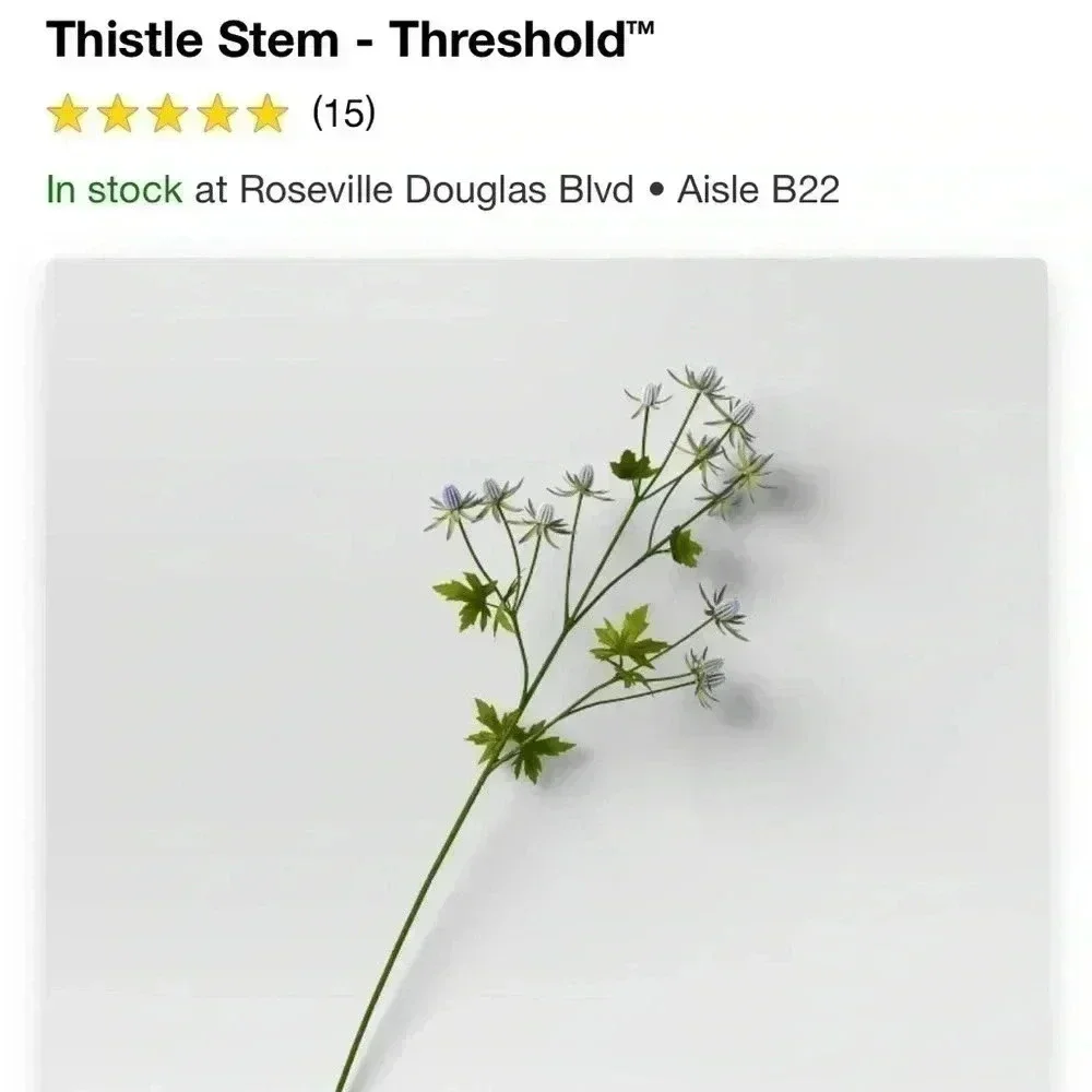 NWT 12pc Thistle‎ Stems - Threshold